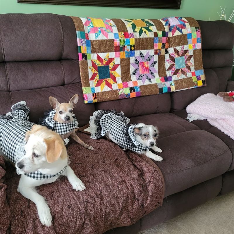 Why This Shelter Deserves Your Attention