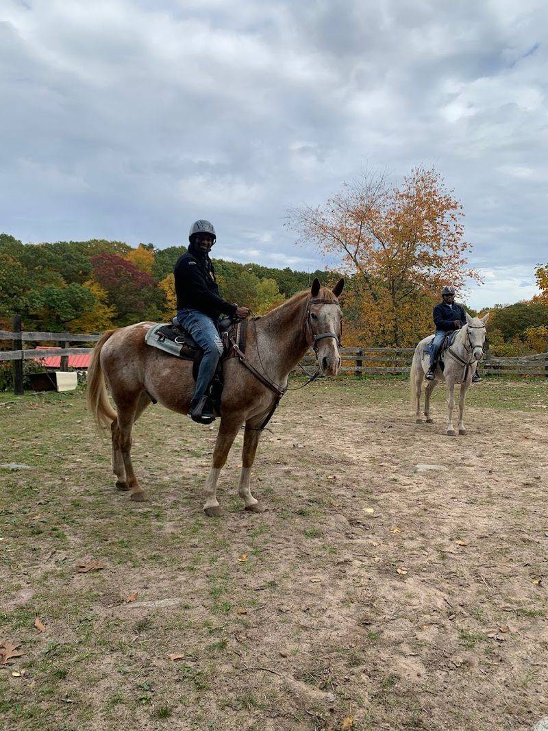 Rollin' Jaxx Stables, Prospect