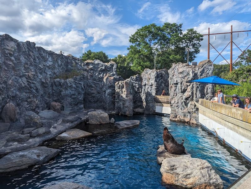 Mystic Aquarium, Mystic