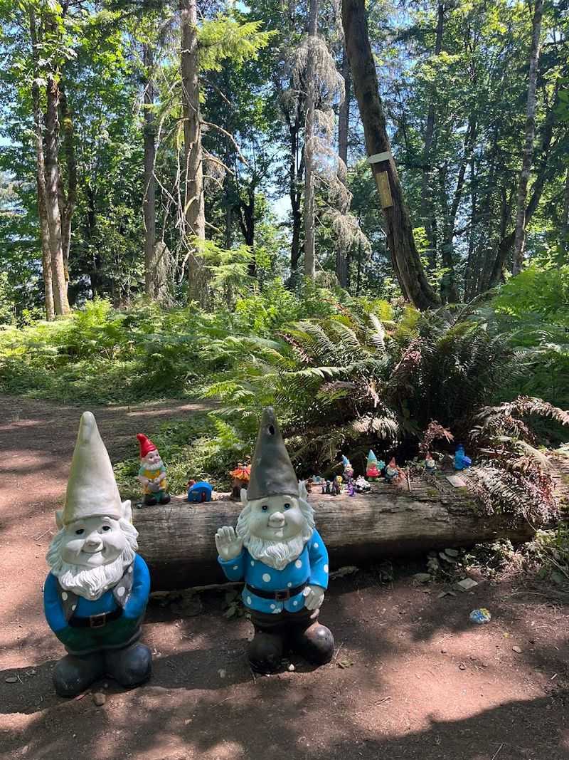Washington's Most Enchanting Hidden Gnome Trail Will Spark Your Inner Child - Decor Hint Practical Tips That Make Your Visit Smoother