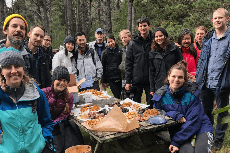 This California Foraging Adventure Turns Bay Area Parks And Beaches Into A Wild Food Classroom - Decor Hint Book A Private Foraging Day For Your Group