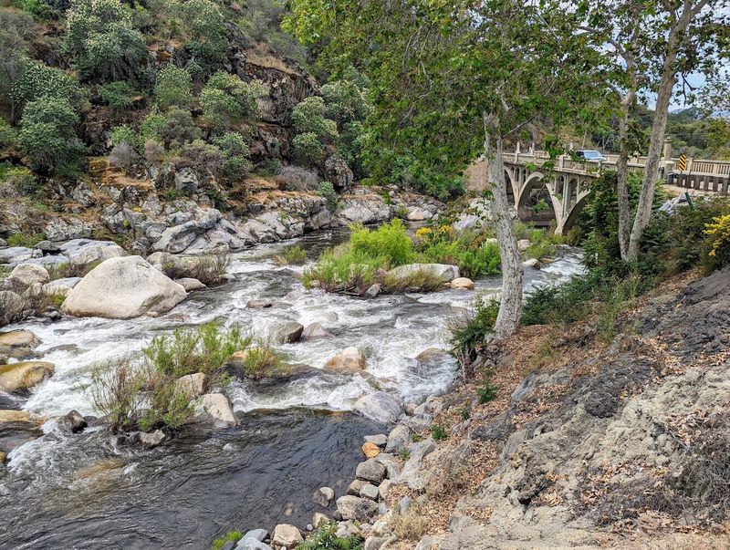 Relax Beside The Kaweah River With Your Treats