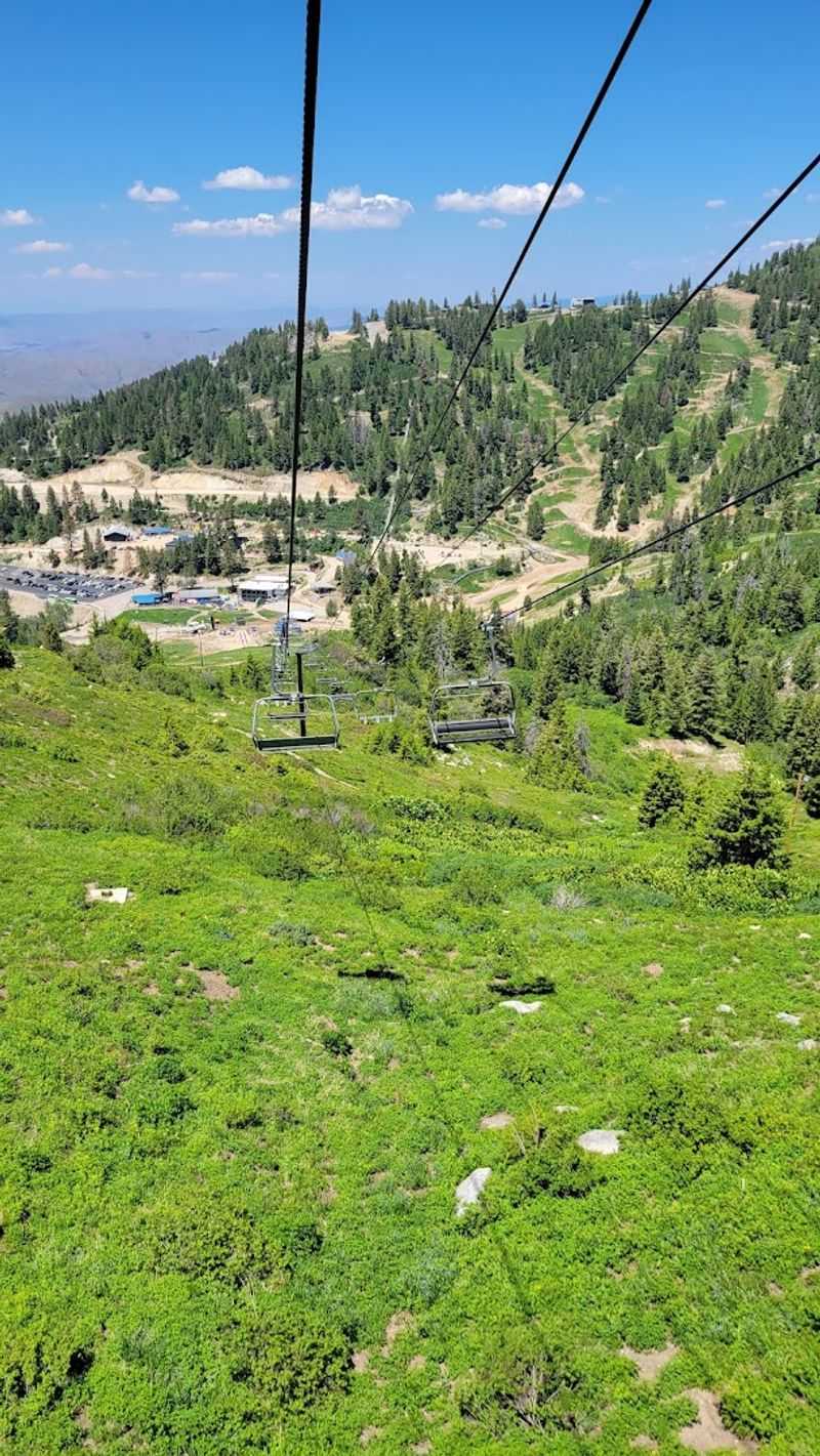 This Idaho Mountain Playground Has Summer Trails, Bluebird Views, And A Coaster Flying Through The Trees - Decor Hint Stay For The Bluebird-Sky Photo Moment