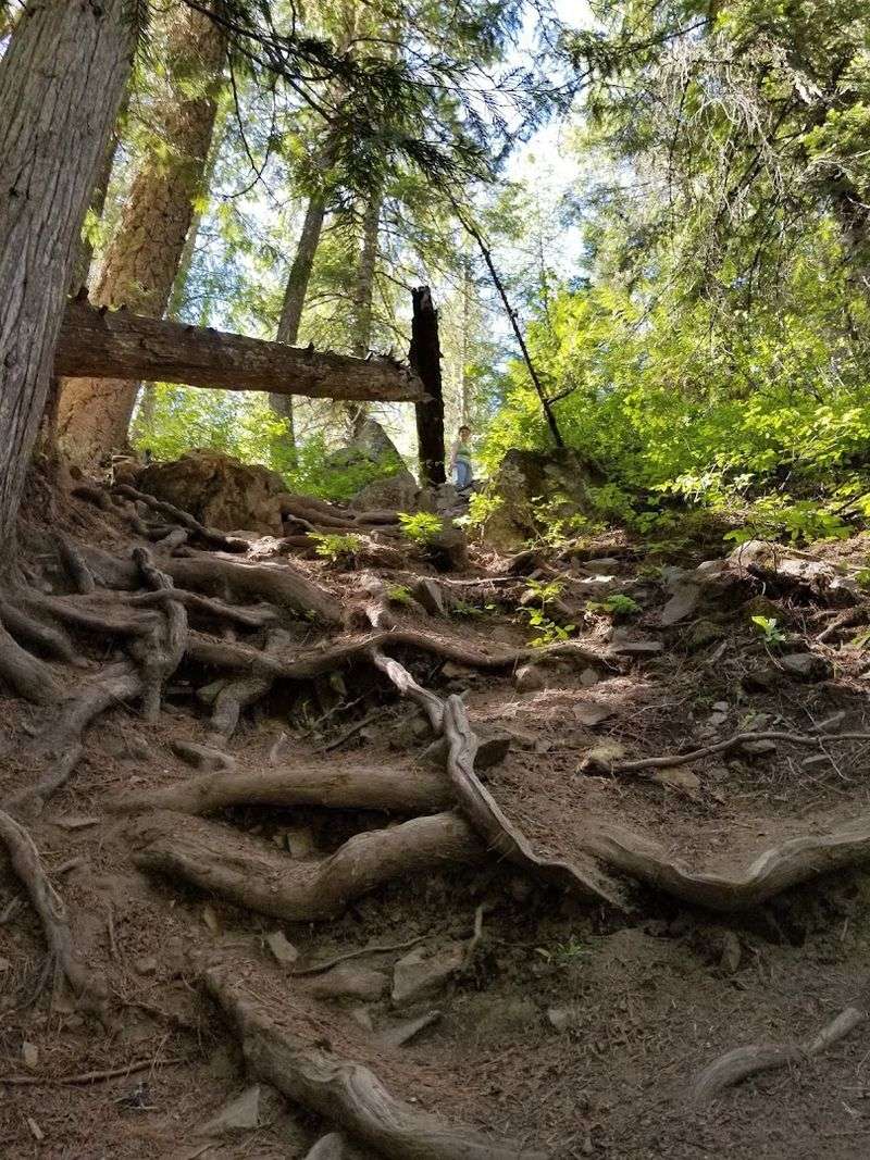 These 10 Idaho Waterfall Hikes Under Two Miles That Deliver Big Canyon Drama Fast - Decor Hint Grouse Creek Falls Trail