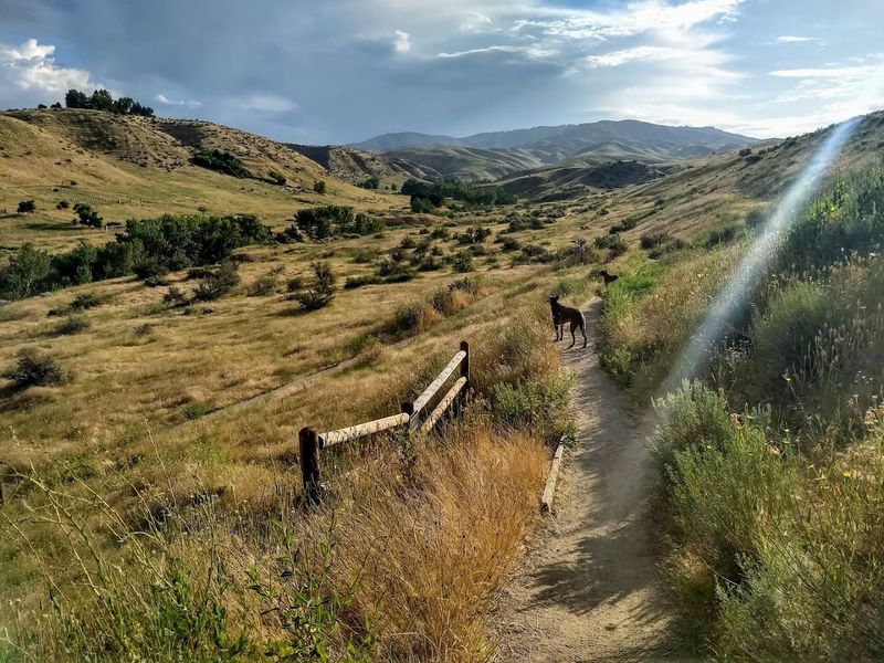 Military Reserve, Central Ridge Trail, Boise