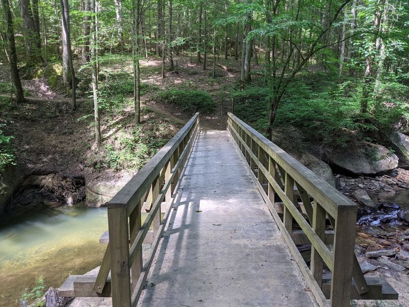 Princess Falls Trail, Big South Fork And Sheltowee Trace, Whitley City