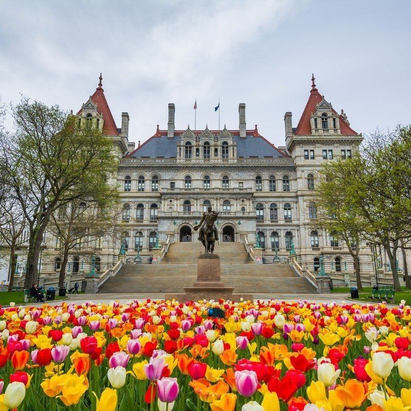 Albany