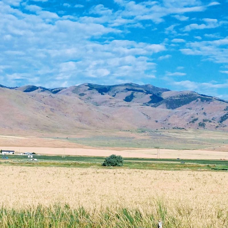 This Little-Known Historic Idaho Town Feels Like One Of The Country's Most Peaceful Escapes - Decor Hint Nearby Mountains Create A Peaceful Backdrop For A Slow Afternoon