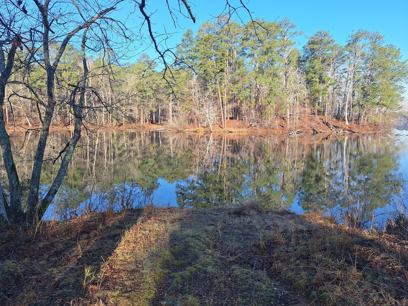 Spacious Campsites With Real Privacy And Full Hook-Up Options