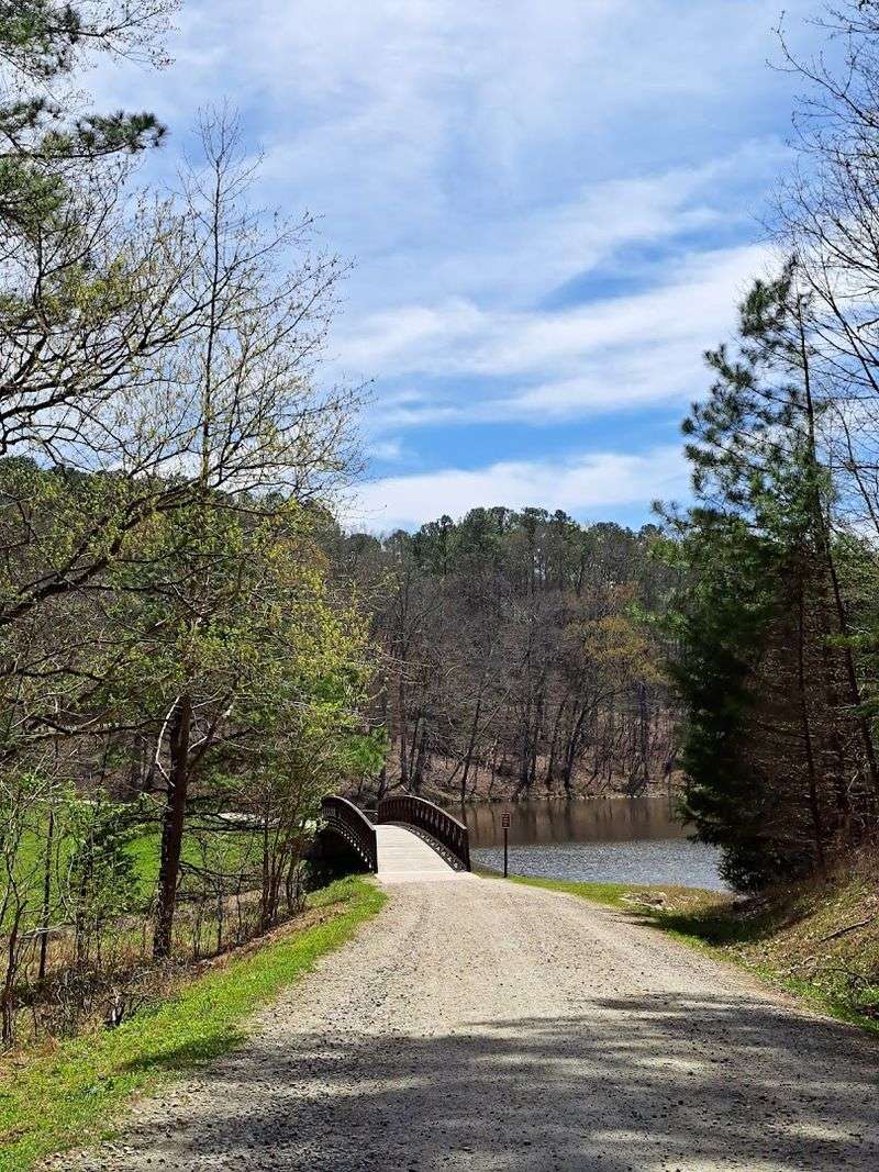 Cycling Routes Worth Every Pedal Stroke