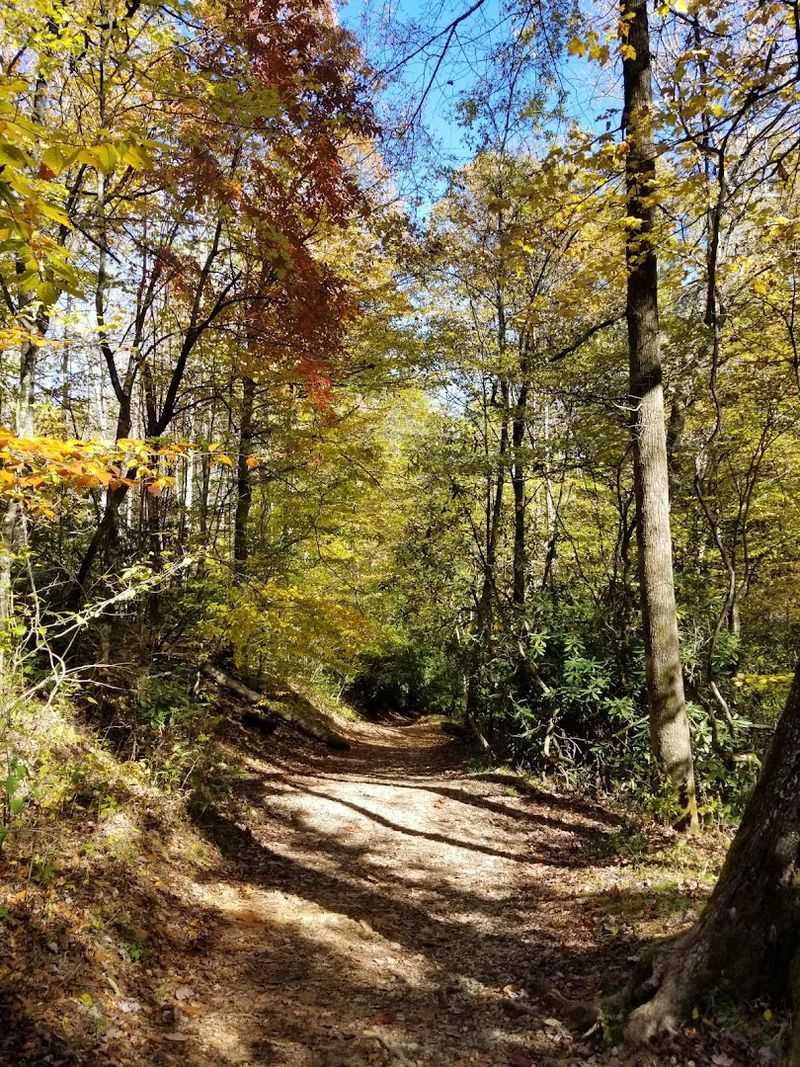 Linville Falls Plunge Basin Trail