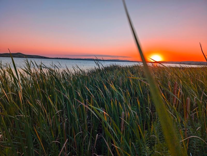 These 10 Nebraska Nature Escapes Come Alive With Wildflowers And Birds Every Summer - Decor Hint Valentine National Wildlife Refuge, Valentine