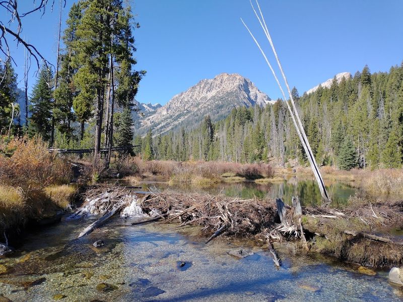 Fishhook Creek Trail, Near Stanley