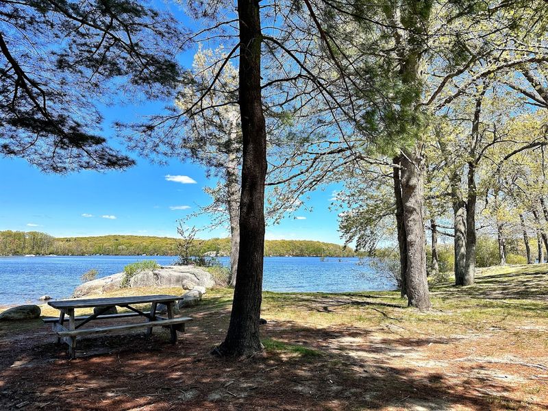 These Are 10 Best Places To Swim In Rhode Island This Summer - Decor Hint Lincoln Woods State Park, Olney Pond, Lincoln