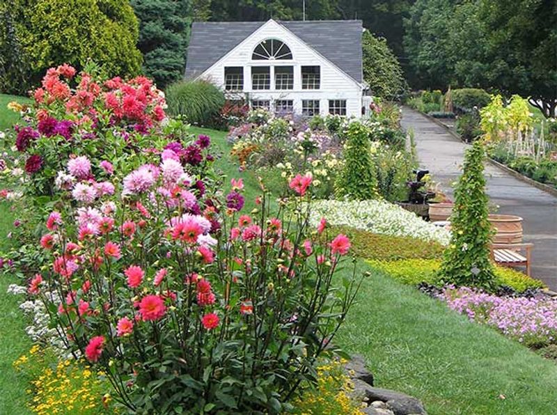 White Flower Farm, Morris