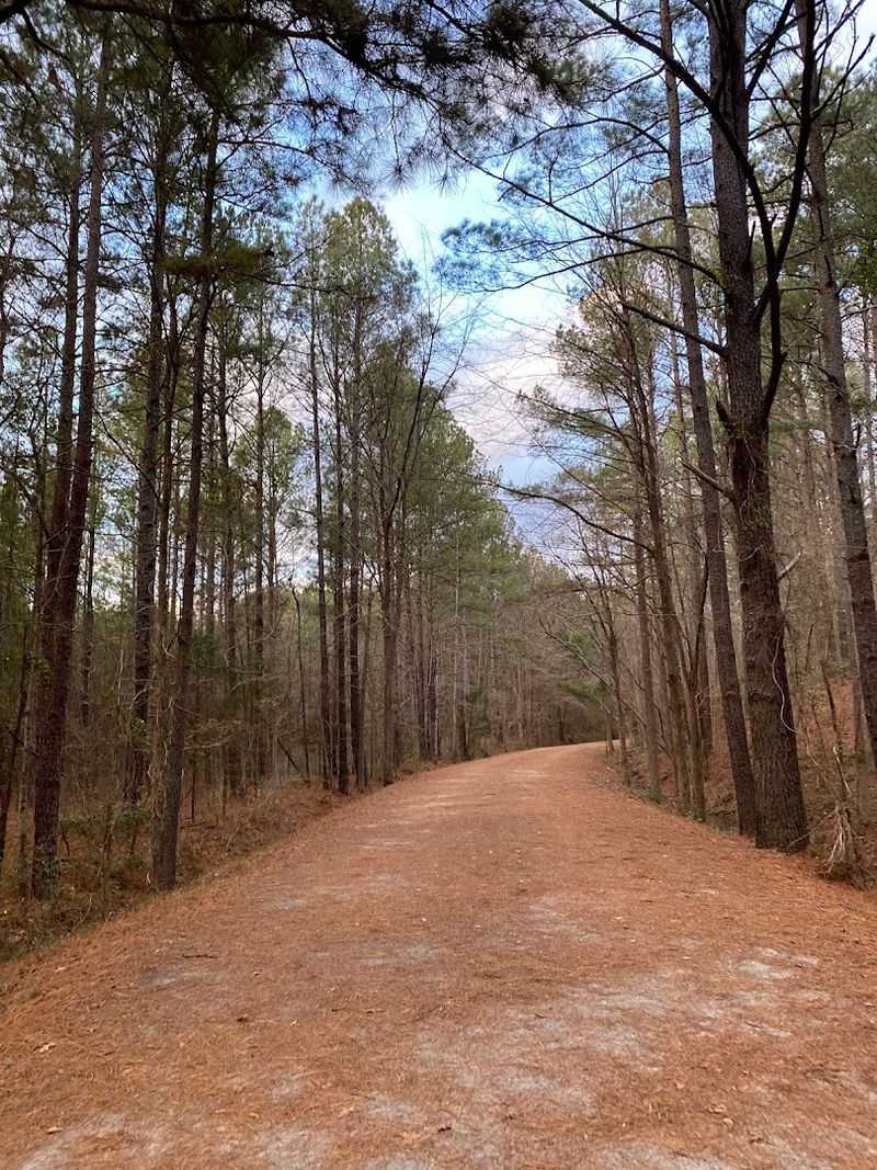 Watch The Scenery Shift From Urban To Wooded