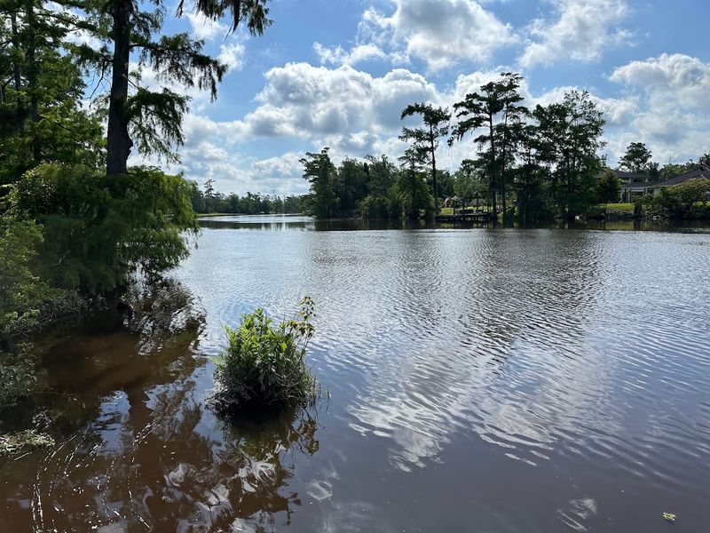 Sam Houston Jones State Park, Lake Charles