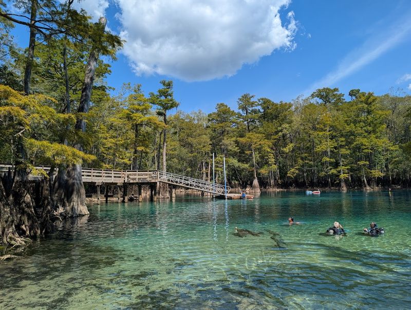 Morrison Springs, Ponce De Leon