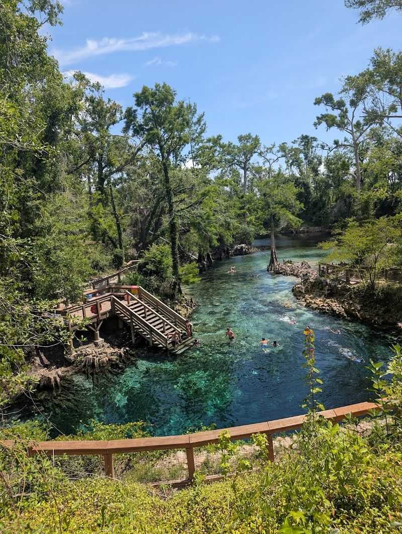 Madison Blue Spring State Park, Lee 