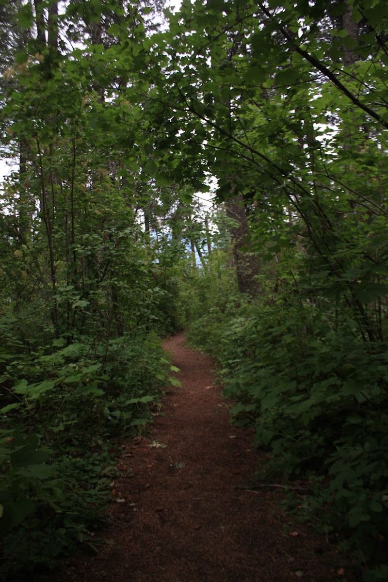 Mineral Point Trailhead No. 82