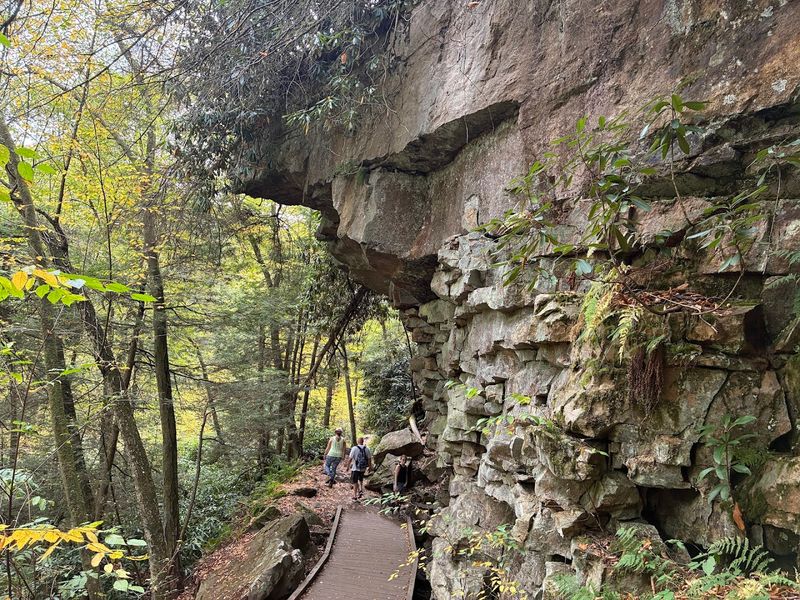 Take One Of These 11 Maryland Day Trips And You'll Forget You're Still In-State - Decor Hint Swallow Falls State Park, Oakland