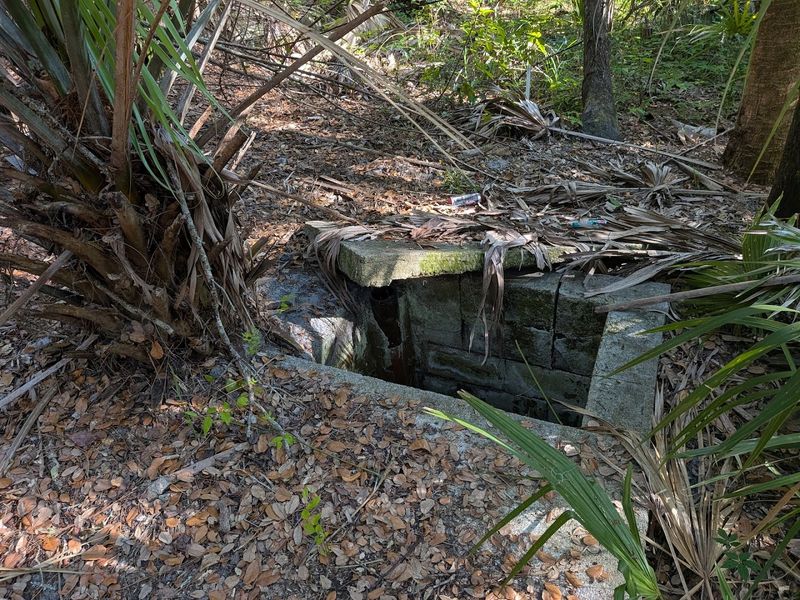 The Mysterious Elf Village 
