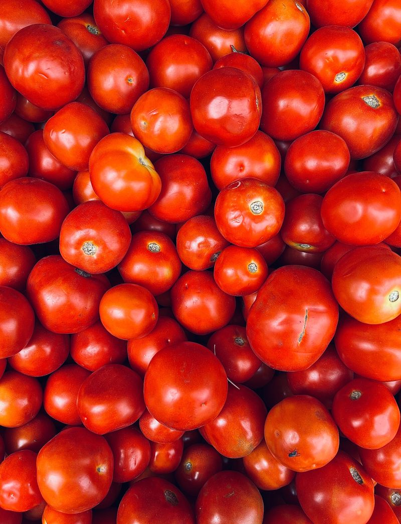 These Idaho Farms Grow The Kind Of Tomatoes Grocery Stores Cannot Compete With - Decor Hint Mountain View Farm/The Tomato Lady