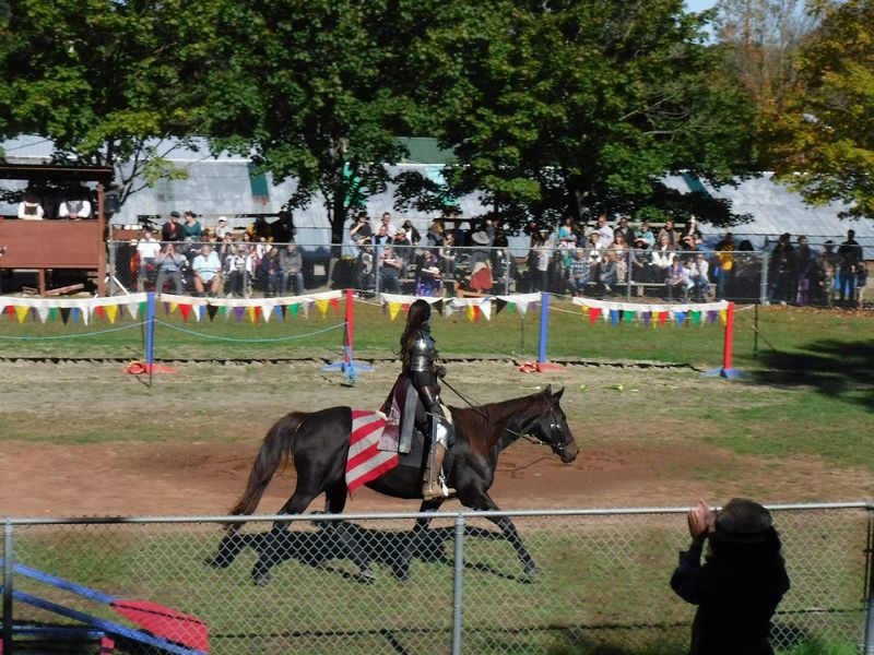 Oxen Vs. Horse Pull Competition