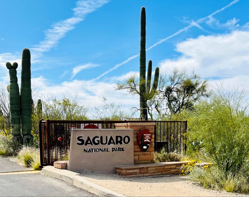 Saguaro National Park