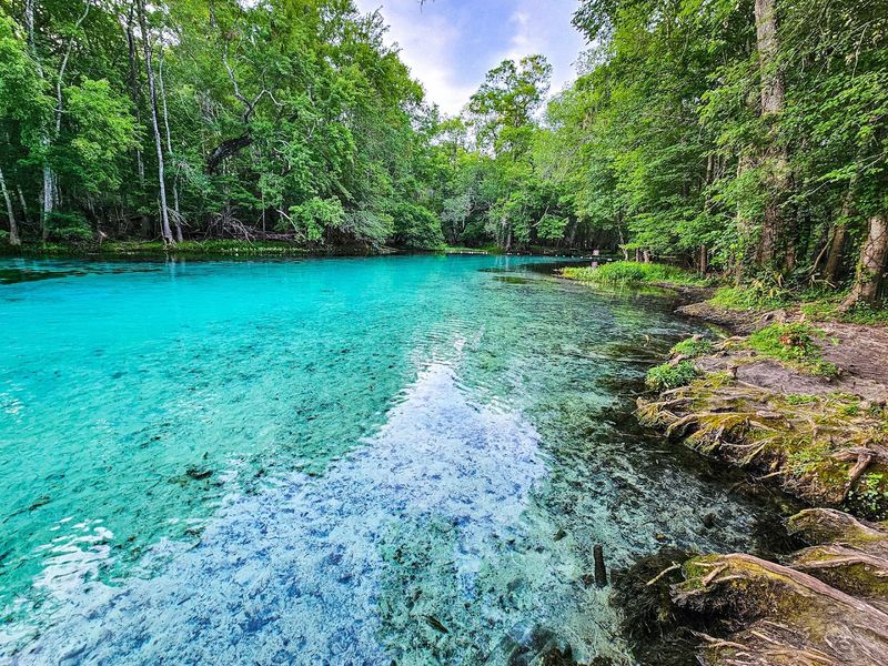 Gilchrist Blue Springs State Park, High Springs