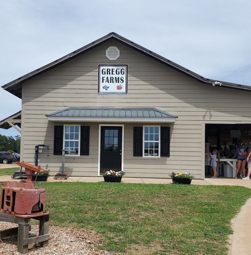 These 11 Georgia Peach Stops Are The Sweetest Reason To Hit The Road - Decor Hint Gregg Farms, Concord