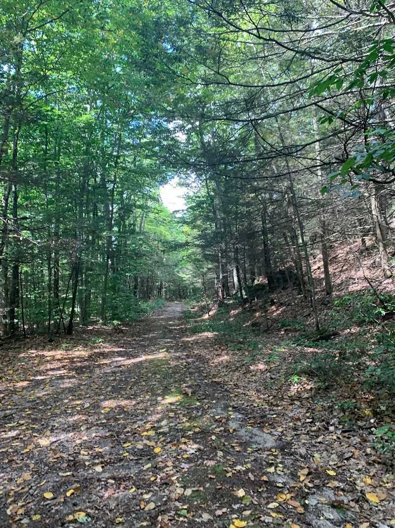 8 Quiet Hiking Trails In Connecticut That Tourists Haven't Discovered Yet - Decor Hint Jones Mountain, New Hartford