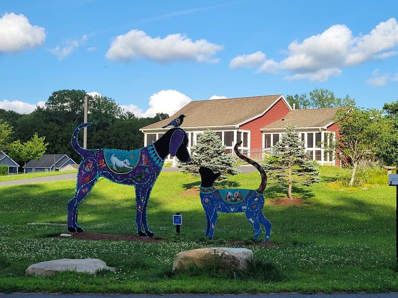 Our Companions Animal Rescue, Ashford