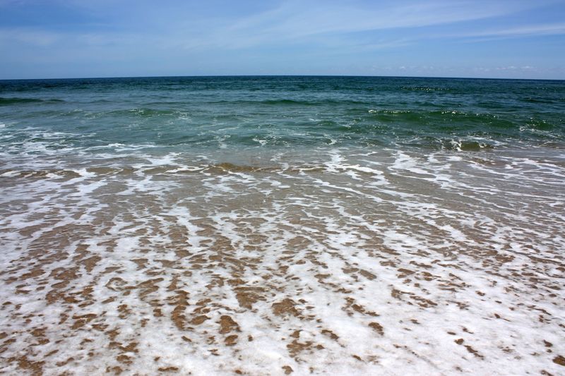 This Outer Banks Village Was Just Named America's Best Place To Spot Wild Dolphins - Decor Hint Cape Hatteras Waters Make Wildlife Watching Feel Easy