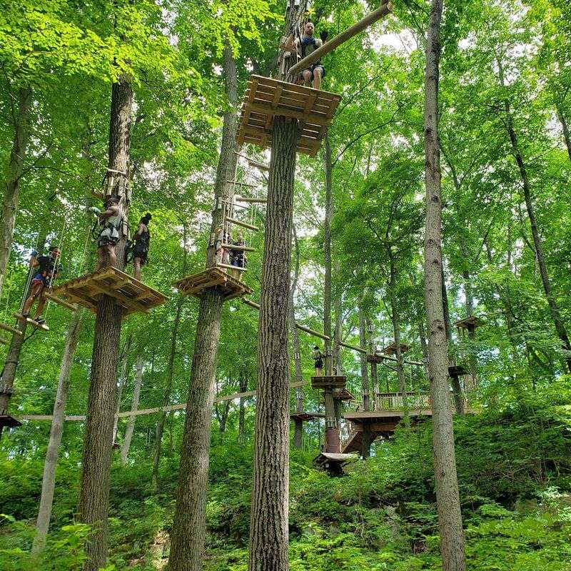 Treescape Aerial Adventure Park, Vernon Township