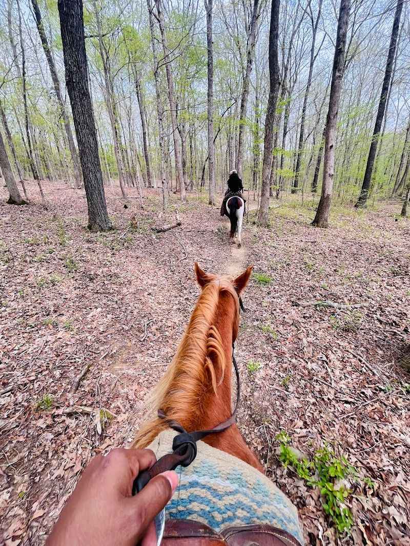 Wranglers Riding Stables