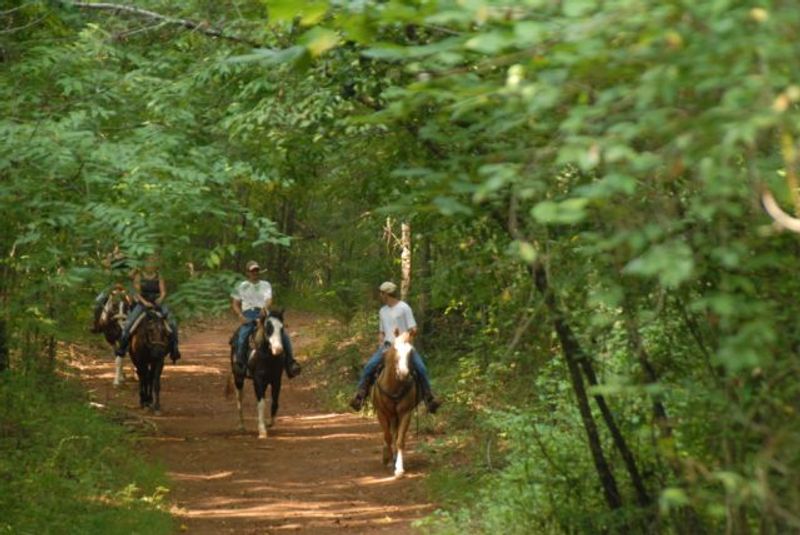 A Working 250-Acre Farm That Feels Completely Lived In