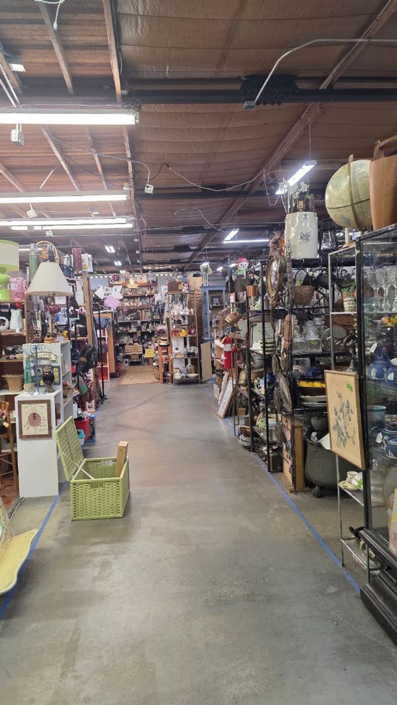 Aisles Packed With Mixed Finds