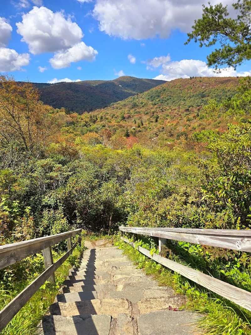 Graveyard Fields Loop Trail