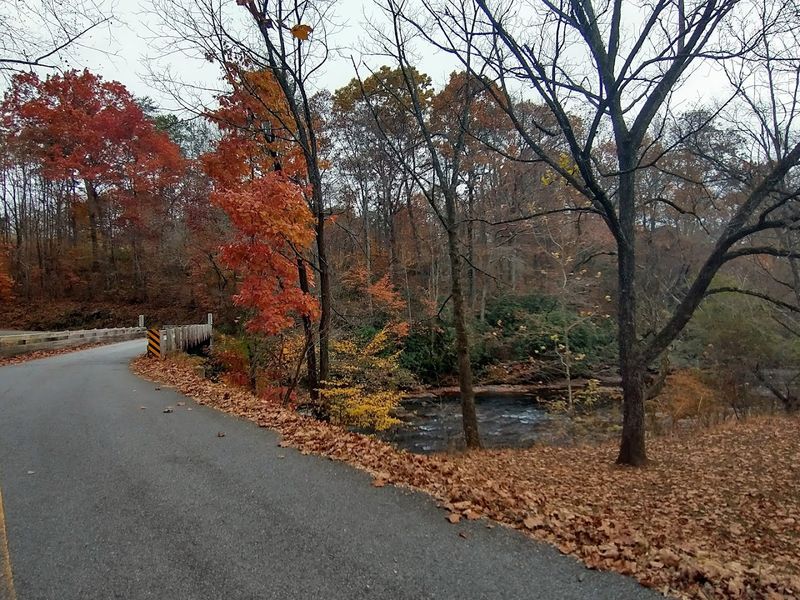 Fall Foliage Delivers Nature's Most Outrageous Color Show