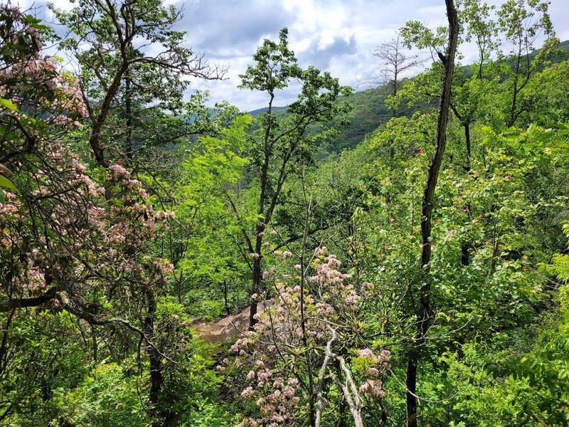 Raven Cliff Falls Trail, Cleveland