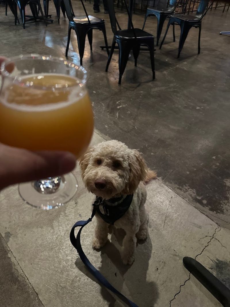 10 Virginia Dog-Friendly Restaurants That Go Beyond The Basics - Decor Hint Maltese Brewing Company, Fredericksburg