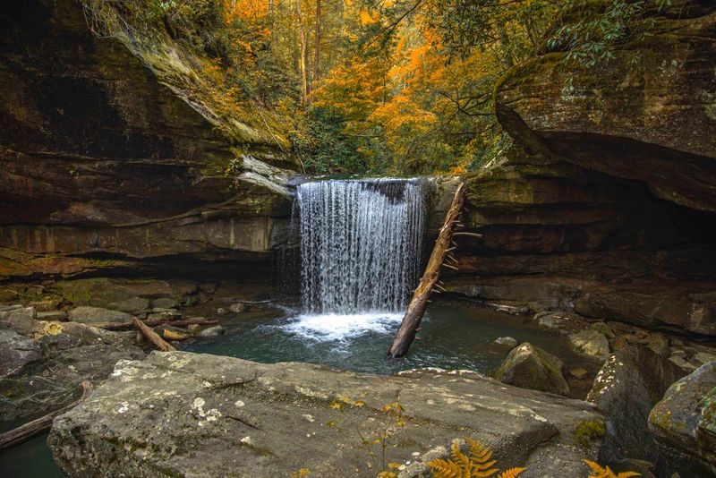 Dog Slaughter Falls Trail, Daniel Boone National Forest, Corbin