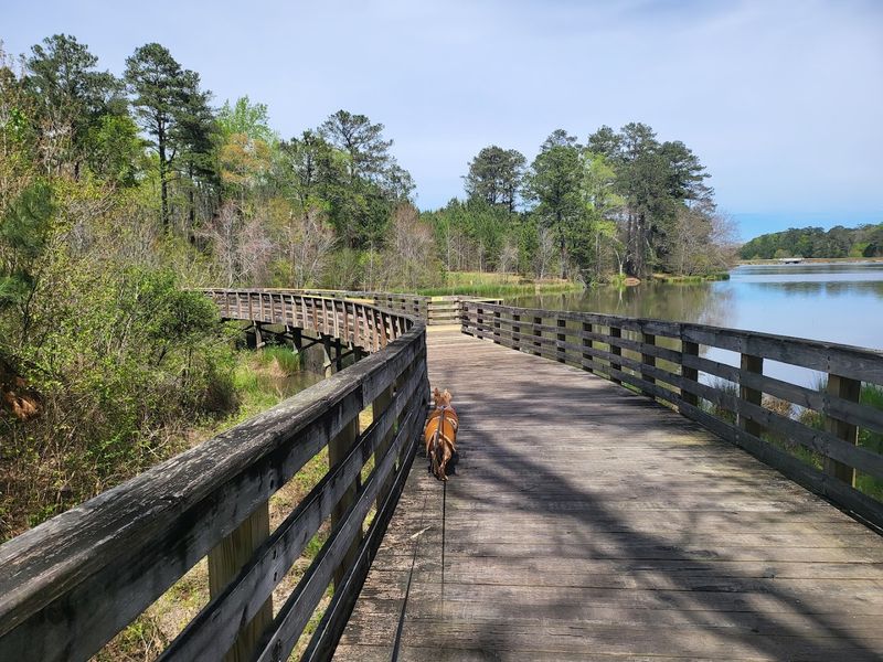 Panola Mountain State Park, Stockbridge