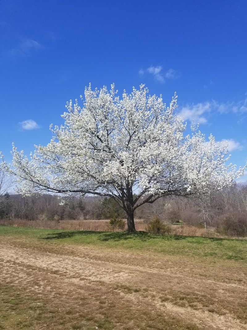 Every Season Changes The Park's Birdlife And Color