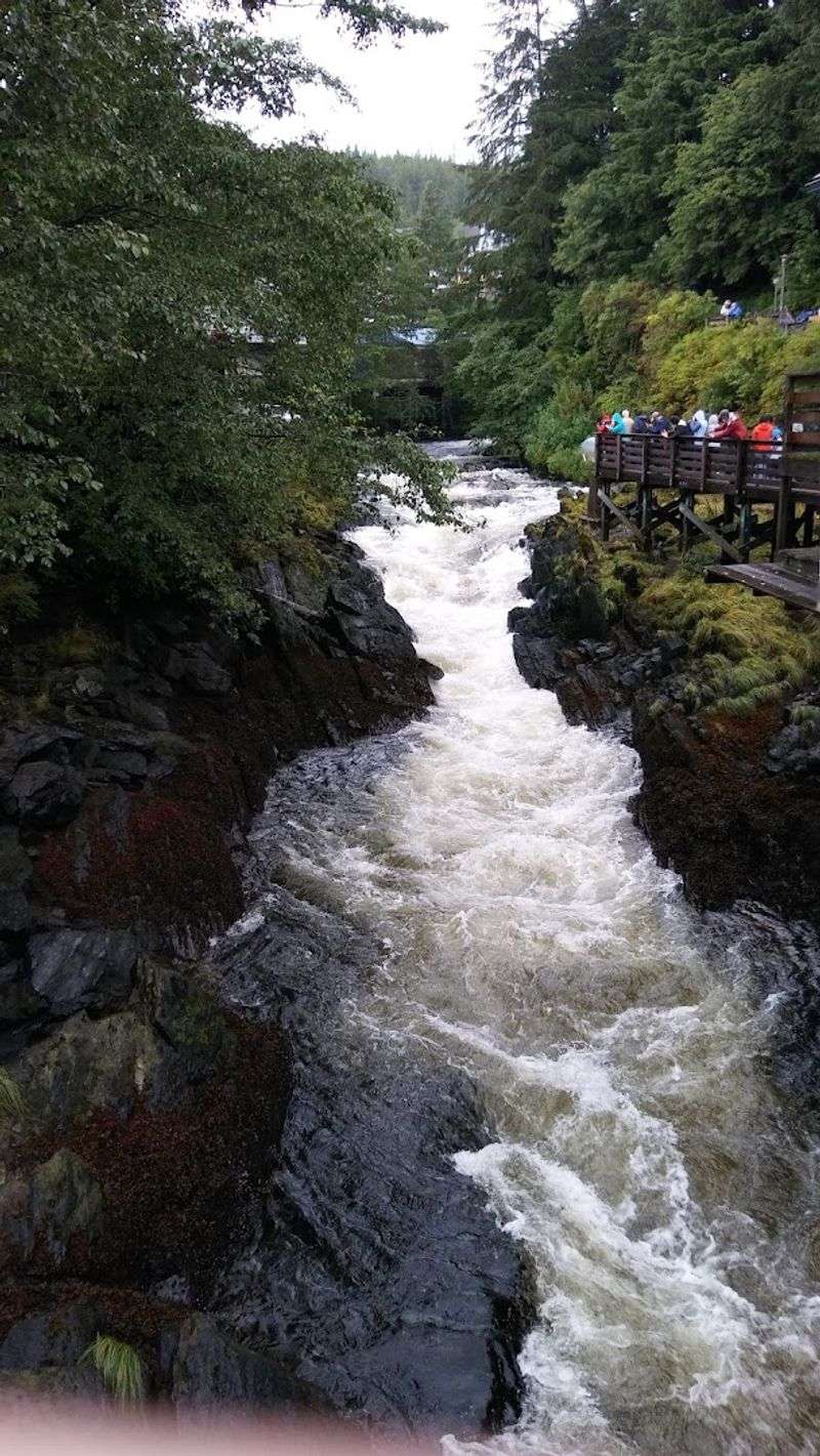 Ketchikan Creek Falls, Ketchikan