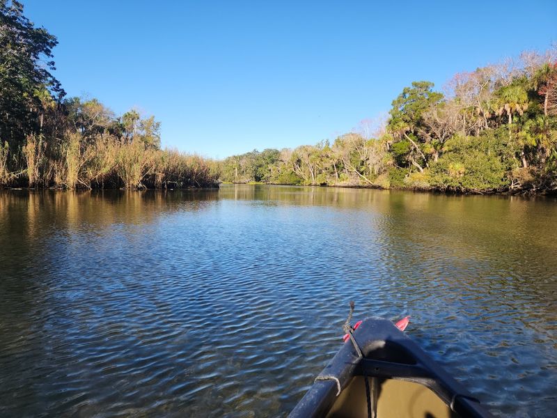 Chassahowitzka River, Brooksville