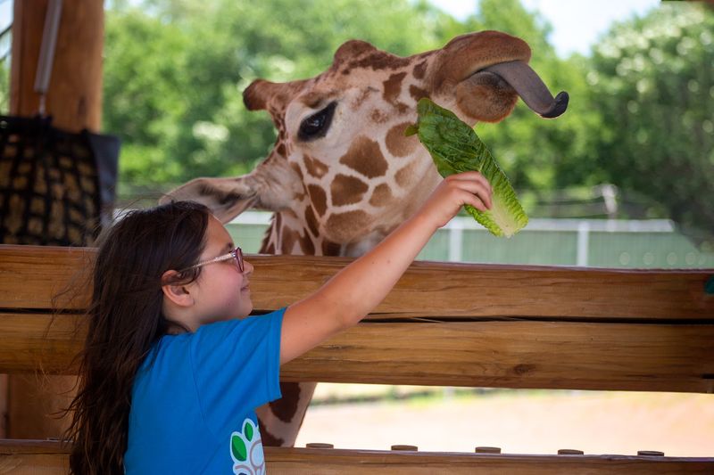 12 Nebraska Spots Where Kids Can Dig In, Splash Around, And Nobody Minds - Decor Hint Lincoln Children's Zoo, Lincoln, Nebraska