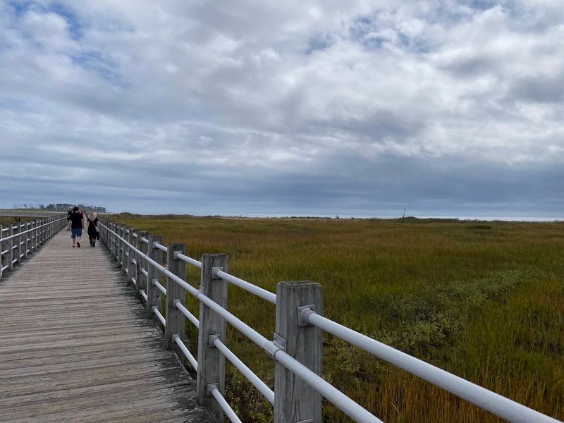 These 10 Beginner-Friendly Hiking Trails In Connecticut Are Worth Discovering This Year - Decor Hint Boardwalk Trail At Silver Sands State Park, Milford
