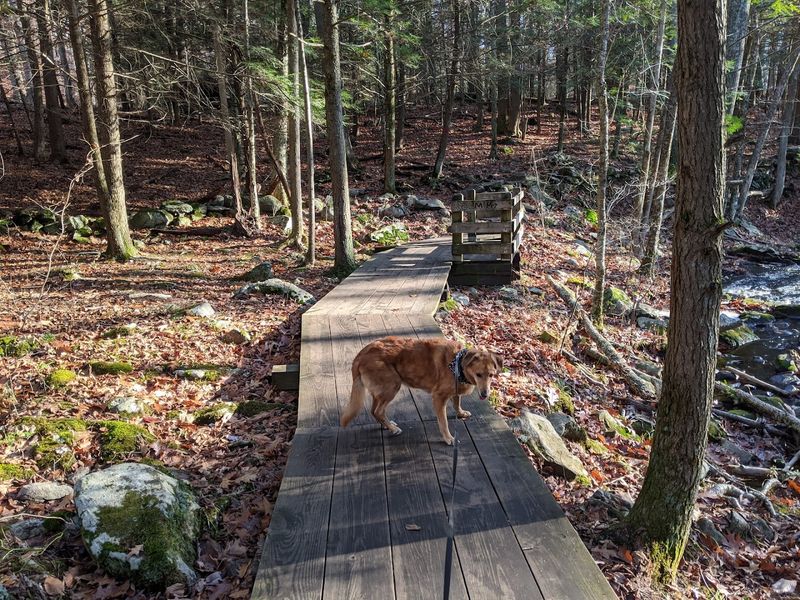 11 Pet-Friendly Places In Connecticut Perfect For A Weekend Adventure - Decor Hint Southford Falls State Park, Southbury